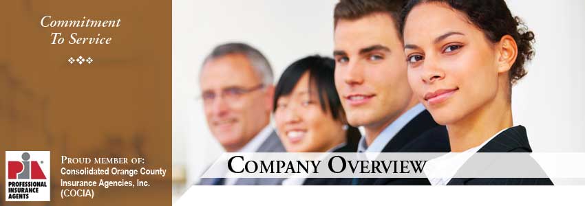 Company Overview