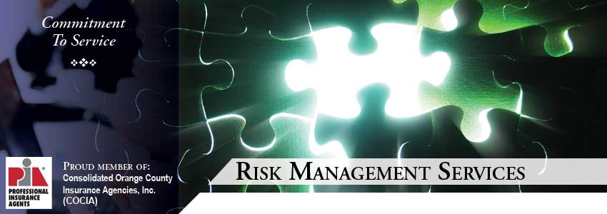 Risk Management Services